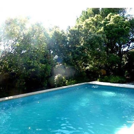 Studio En Rez-De-Jardin Arbore Avec Acces Piscine Et Clim Villeneuve-lès-Avignon Dış mekan fotoğraf
