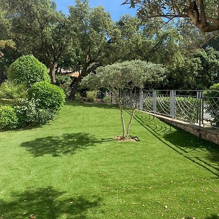Studio En Rez-De-Jardin Arbore Avec Acces Piscine Et Clim Villeneuve-lès-Avignon Dış mekan fotoğraf