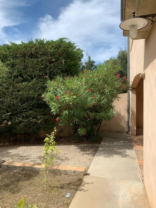 Studio En Rez-De-Jardin Arbore Avec Acces Piscine Et Clim Villeneuve-lès-Avignon Dış mekan fotoğraf