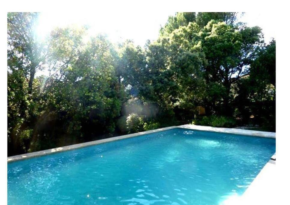 Studio En Rez-De-Jardin Arbore Avec Acces Piscine Et Clim Villeneuve-lès-Avignon Dış mekan fotoğraf