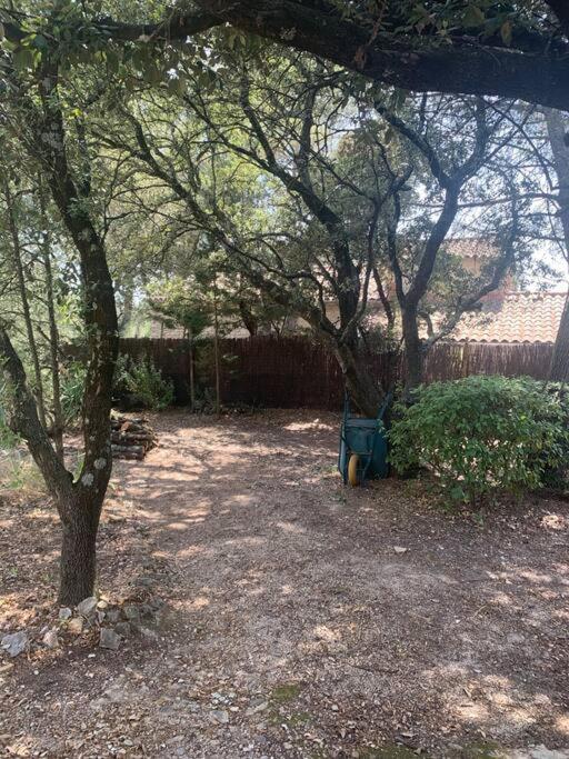 Studio En Rez-De-Jardin Arbore Avec Acces Piscine Et Clim Villeneuve-lès-Avignon Dış mekan fotoğraf